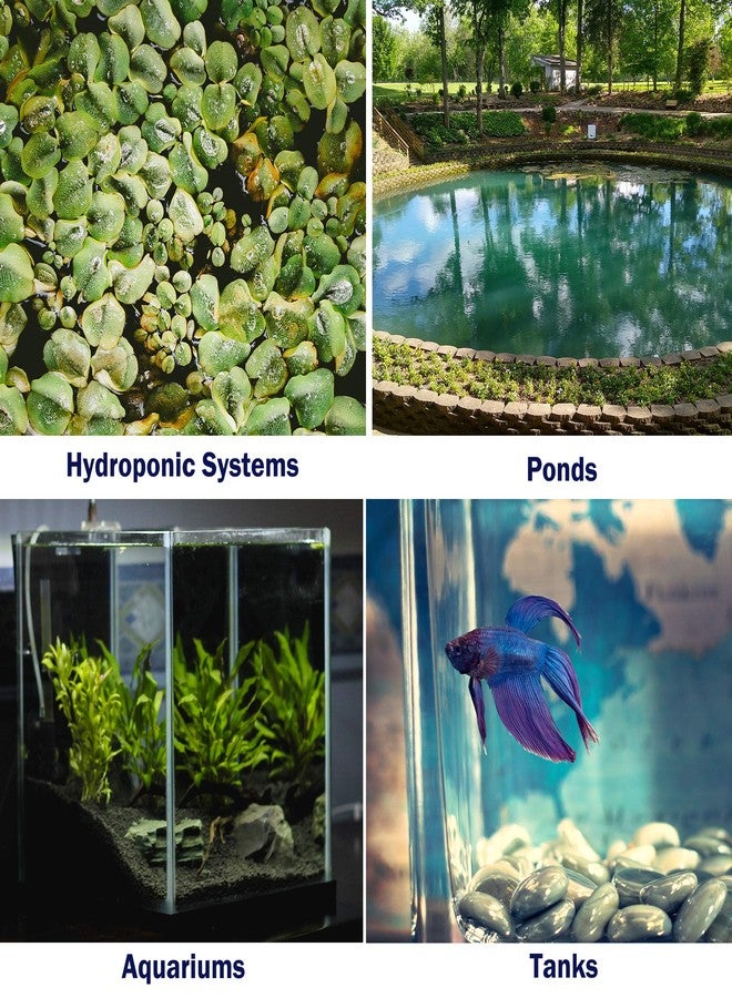 HOCTRAKA 4 Pieces 4 Inch Air Stone Disc Bubbler Diffuser with 12 Pieces Suction Cups for Aquarium Hydroponics Fish Tank Air Pump Round Aquarium Air Stone Kit - Image 4